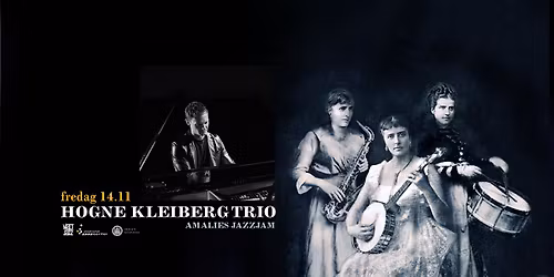 Hogne Kleiberg Trio: Amalies Jazzjam Vol. XXVI