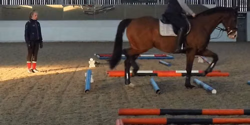 Polework at Askham Bryan College 