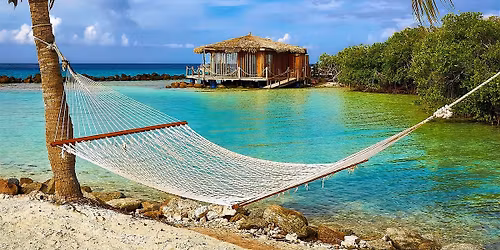 Beginner Photography Workshop