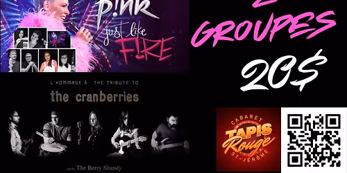 2 GROUPES Hommage PINK \/Just like Fire Hommage The CRANBERRIES \/The Berry Shandy