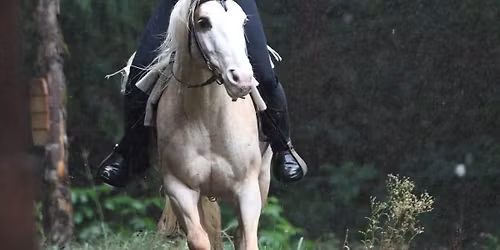 Introduction to Horse Archery Workshop