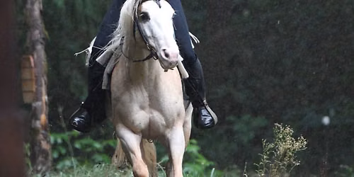Introduction to Horse Archery Workshop