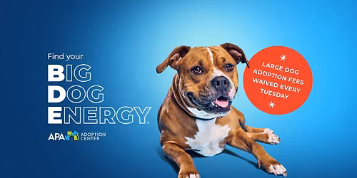 Big Dog Energy Tuesdays