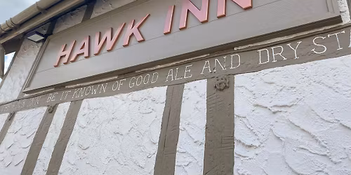 hawk christmas table top