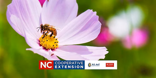 Beginning Beekeeping Course - Honey Bee Parasites, Diseases - Week 5