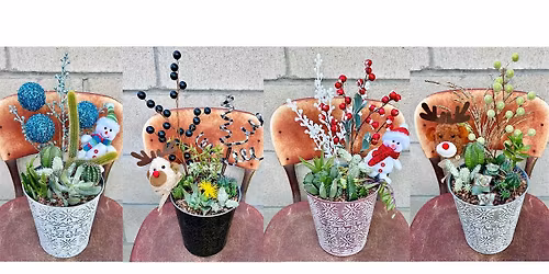 Wine and Cactus Night- Christmas Theme!