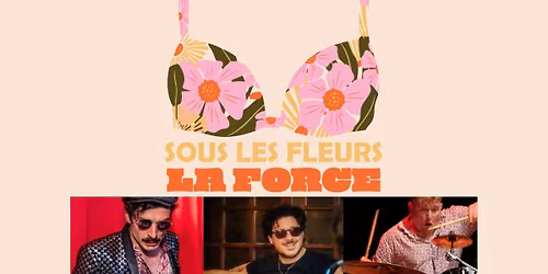 Concert Viennois de la haute \ud83d\udc93