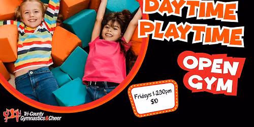 Daytime Playtime Open Gym
