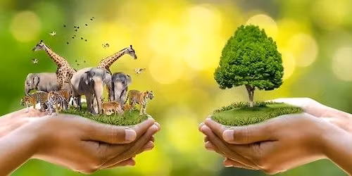 Animal & Plant Communication with Susan