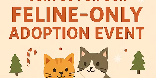 Fabulous Feline Adoption Event!