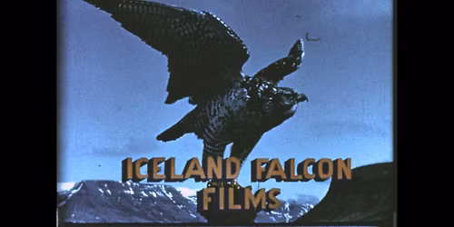 Magn\u00fas J\u00f3hannsson - B\u00ed\u00f3teki\u00f0