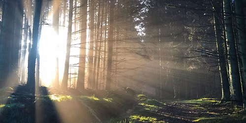 Rest, Restore & Return to the Light-A Winter Solstice Solace