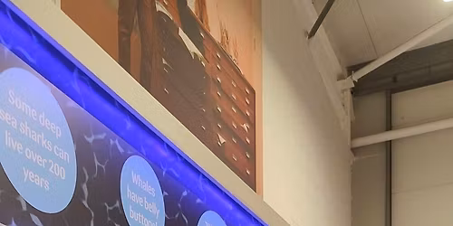 Rescue Not Retail outreach