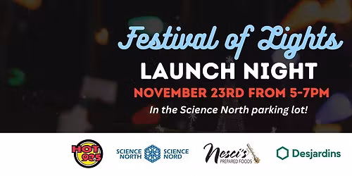 Festival Of Lights Launch Night