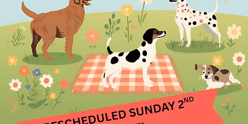 Coopers Veterinary Centre Fun Dog Show