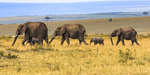 Familieopstellingendag Eindhoven