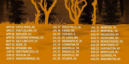 Silversun Pickups at Lowbrow Palace