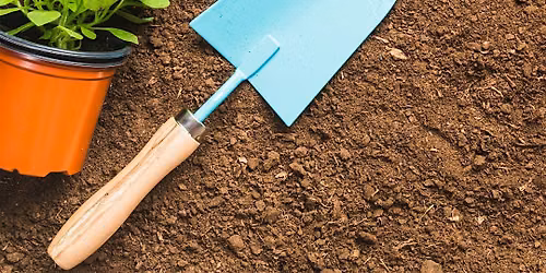 ReGrow Volusia: Plan Your Winter Garden