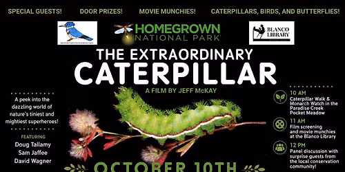 THE EXTRAORDINARY CATERPILLAR