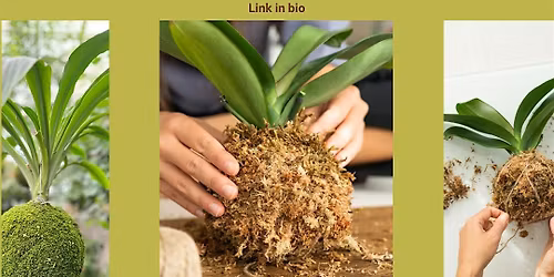 Rooted & Wrapped: A Kokedama Workshop With Nursery 1621