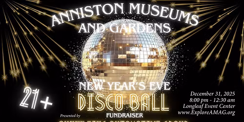 NYE Disco Ball Fundraiser
