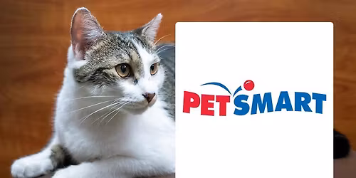 Adoption Event at Pooler Petsmart