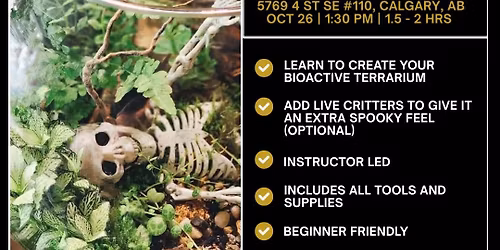 Spooky Enclosed Terrarium Workshop | Bow River Brewing