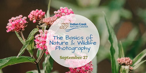The Basics of Nature & Wildlife Photography