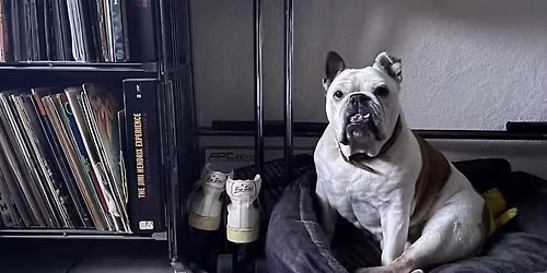 RATC, Holiday Wasteland, Restless