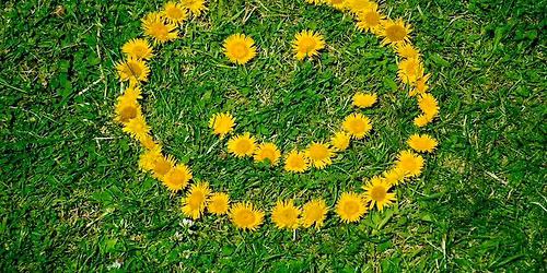 AUM Meditatie in Utrecht - GELUKSDAG!