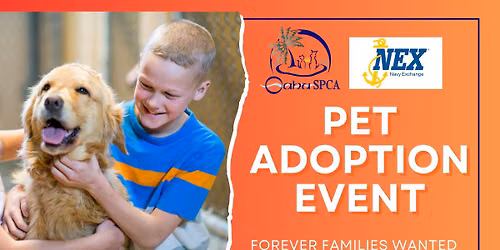 Oahu SPCA Pet Adoption Event- Navy Exchange Mall