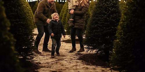 Outdoor Christma Minis