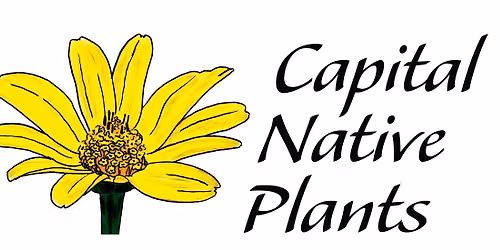 September Plant Sale