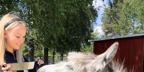 Kes\u00e4n aukioloajat 