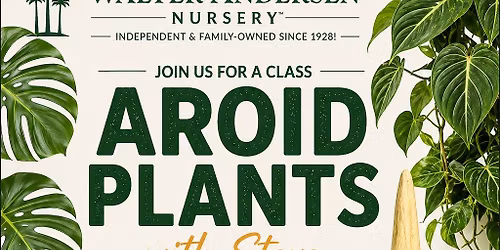 POWAY- Aroid plants with Steve (Monstera\/Pothos\/Philodendrons\/and more!)