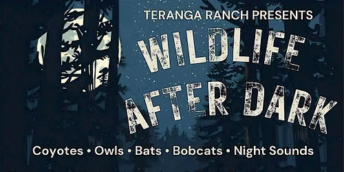 Wildlife After Dark