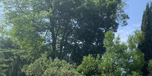 La Garde - Adh\u00e9mar : D\u00e9couverte Nature, plantes sauvages et m\u00e9dicinales