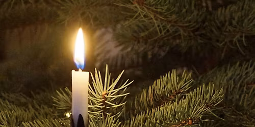 Dec 20 - Winter Solstice Cacao & Plant Medicines Ceremony.