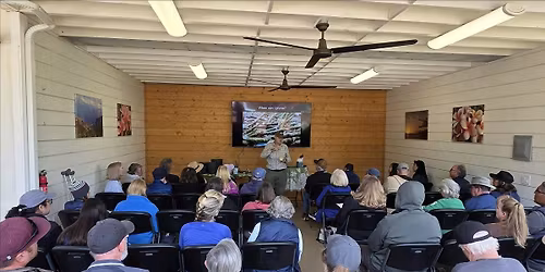 Vital Spring Plumeria Steps