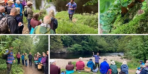 Foraging Walk with Gavin Ireland