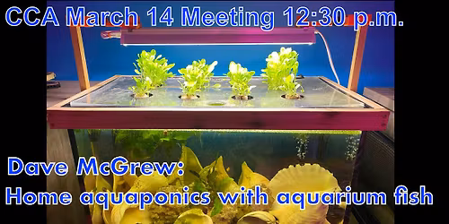 March 14 Meeting Home aquaponics with Aquarium Fish