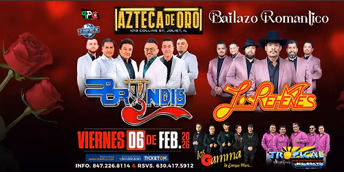 GRUPO BRYNDIS, LOS REHENES & MAS