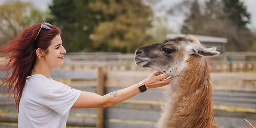 Soucitn\u00e9 Velikonoce na Farm\u011b Nad\u011bje #5 \ud83d\udc14