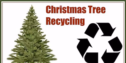 Kirkland Christmas Tree Recycling