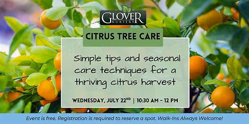 Citrus Tree Care