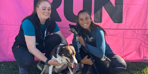 VOM Dogrun Jessheim 2026
