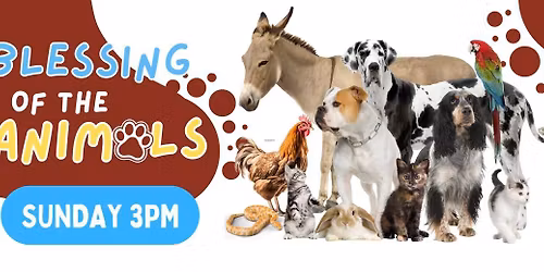 Blessing of the Animals