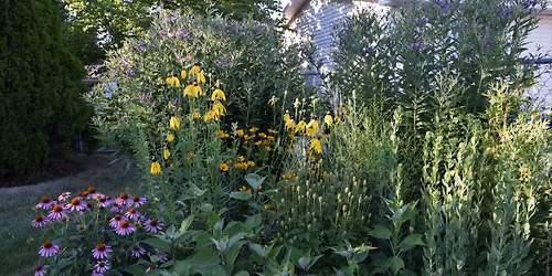 Native Plant Garden Tours \u2013 Bay County