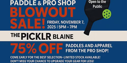 The Picklr Blaine Blow Out Paddle Sale