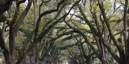 2026 Healthy Home & Lifestyle Expo